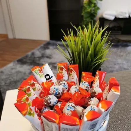 Center Altstadt Apartment