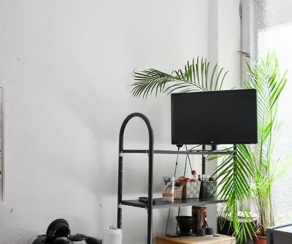 Center Altstadt 特里尔