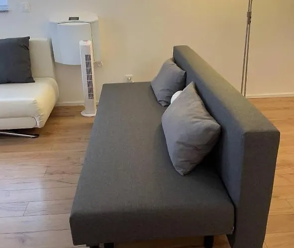 Center Altstadt * 特里尔