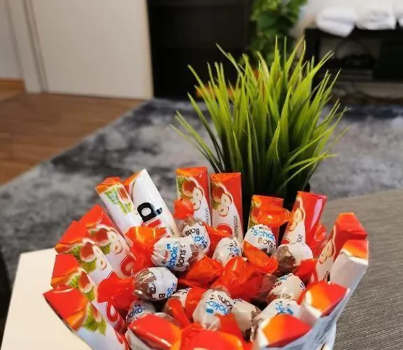 Center Altstadt Apartmán